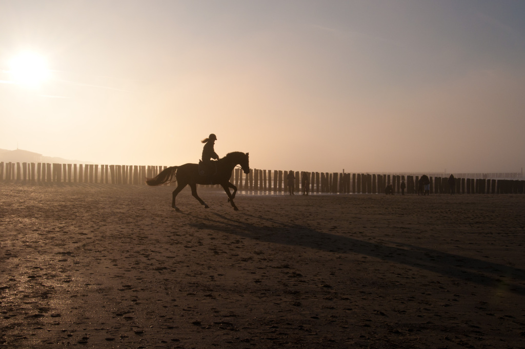 Zeeland - Paardrijden op het strand - Horseback riding on the beach - Reiten am Strand.jpg